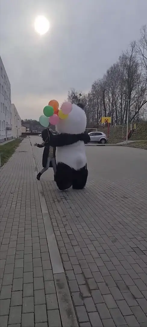 Аниматор Панда
